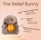 Gray bunny plush toy with glowing belly on a pink background, labeled 'The Relief Bunny' with features listed.